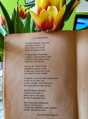 21. marec | Svetovni dan poezije | Beremo pesem Puškina!